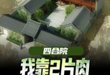 四合院:我靠2片肉俘获秦淮茹芳心最新章节,四合院:我靠2片肉俘获秦淮茹芳心免费阅读-红梅文学