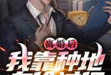 《离婚后,我靠种地身价过亿》全集免费在线阅读(林峰陆凝香)-红梅文学