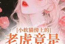 许棉陆戾完整版小说免费阅读-红梅文学