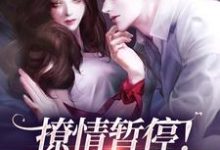 《撩情暂停!咱们先炫饭》小说免费阅读完整版-红梅文学