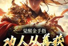 《觉醒金手指:劝人从善获决定武力值》沈舟小说免费阅读完整版-红梅文学