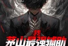 我，茅山最强辅助，九叔直呼内行林遇九叔小说免费阅读-红梅文学