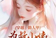 穿越:路人甲为救小姨翻身变女主小说完结版章节免费阅读-红梅文学