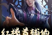 已完结小说《红楼首辅的励志人生》最新章节-红梅文学