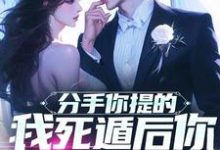 分手你提的,我死遁后你哭什么?这本小说在哪里可以看?哪里有免费试读章节?-红梅文学
