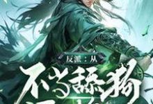 小说《反派:从不当舔狗开始》完整版在线章节免费阅读-红梅文学
