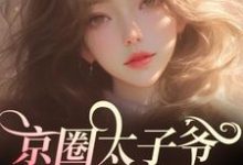 京圈太子爷别宠了，她该上天了！免费阅读，京圈太子爷别宠了，她该上天了！安姝季泊聿-红梅文学