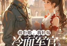 许诺陆沉小说被拒婚,我转嫁冷面军官三年抱俩在线阅读章节-红梅文学