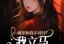 徐芷贺屿小说完结版在线阅读，城里和我不对付？我立马辞职回老家免费看-红梅文学