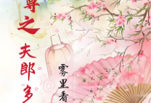 南希小说完整版《女尊之夫郎多妖娆》免费阅读-红梅文学