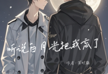 小说《听说白月光把我忘了》完整版章节免费阅读-红梅文学