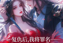 复仇后,我将罪名嫁祸给漓王小说有没有完整的免费版本在线阅读?-红梅文学