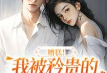 糟糕！我被矜贵的大小姐缠上了沈南意谢霄北小说在线章节免费阅读-红梅文学