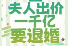 薄爷,夫人出价一千亿要退婚叶凝薄寒年,薄爷,夫人出价一千亿要退婚章节在线阅读-红梅文学