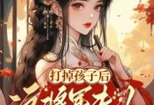 《打掉孩子后这将军夫人谁爱当谁当》苏归晚云墨小说免费阅读完整版-红梅文学