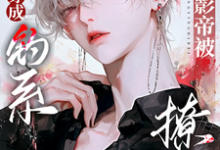小说《穿成钓系小甜O,清冷影帝被撩疯》完整版章节免费阅读-红梅文学