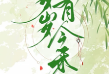 求岁岁有今禾小说免费资源-红梅文学