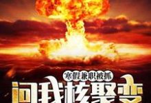 林勉完整版《寒假兼职被抓,问我核聚变能造吗?》小说免费阅读-红梅文学