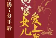 求官诱：分手后，高官女儿爱上我小说免费资源-红梅文学