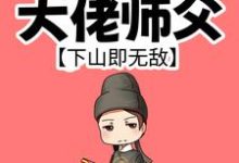 叶北辰完整版小说免费阅读-红梅文学