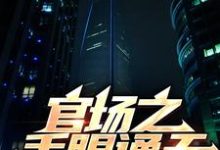 官场之手眼通天小说免费资源,官场之手眼通天在线阅读-红梅文学