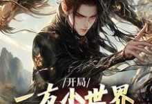 开局一方小世界,我靠系统逆袭章节免费在线阅读,李长枫林九完结版-红梅文学