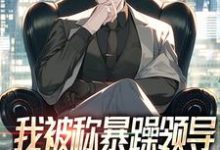 完整版《我被称暴躁领导,可人人都爱护我!》小说免费阅读-红梅文学