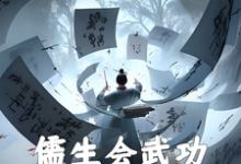 儒生会武功，开局抡语大成小说完结版章节免费阅读-红梅文学