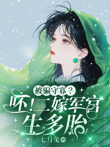 已完结小说《被骗守寡？呸！二嫁军官生多胎》在线章节阅读