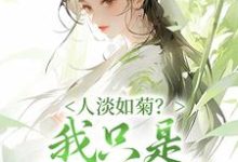 人淡如菊?我只是心死如灰这本小说完结了吗?免费查看最新章节-红梅文学