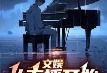 求文娱:从直播开始制霸小说的全文免费阅读链接-红梅文学