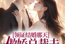 领证结婚那天，傲娇总裁去陪白月光了墨承璟路桐在线章节免费阅读-红梅文学