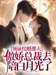 领证结婚那天，傲娇总裁去陪白月光了墨承璟路桐在线章节免费阅读