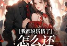 周辞钟筱完整版《我都说斩情了,怎么还让我相亲》小说免费阅读-红梅文学