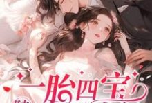 小说《一胎四宝,陆总用力过猛》在线章节阅读-红梅文学