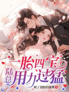 小说《一胎四宝，陆总用力过猛》在线章节阅读