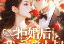 寻找能够免费阅读拒婚后我高嫁小叔,太子爷你哭什么?小说的平台-红梅文学
