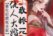 仇人大婚我惨死,重生后虐死全家小说全文阅读需要付费吗?寻找免费资源-红梅文学