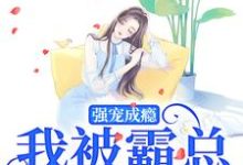 完结版《强宠成瘾,我被霸总圈进怀》章节阅读-红梅文学