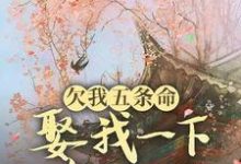 玉沁宋祁小说欠我五条命,娶我一下怎么了?在线阅读章节-红梅文学