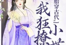 胎穿古代,我狂撩小世子免费阅读,胎穿古代,我狂撩小世子章节目录-红梅文学
