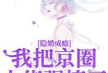 隐婚成瘾,我把京圈大佬强撩了傅砚辞林书晚小说完结版章节在线阅读-红梅文学