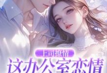 上司撩情,这办公室恋情我谈定了小说完结了吗?在哪里可以免费读到?-红梅文学