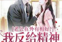 《老公在外有相好?我反给精神损失费》小说免费阅读完整版-红梅文学