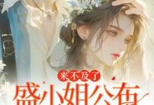 免费看来不及了,盛小姐公布婚讯了小说的网站有哪些?-红梅文学