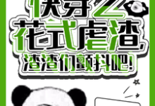 快穿之花式虐渣,渣渣们颤抖吧!恬静小说免费阅读-红梅文学