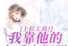 小说《上位工具?我靠他的宠爱来摆脱》完整版章节免费阅读-红梅文学
