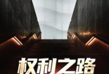 在线免费阅读权利之路:我到底是谁完整小说-红梅文学