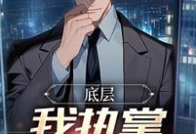 《底层：我执掌晋升奥秘》张诚完整版小说免费阅读-红梅文学