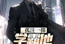 孤注一掷:学霸他官运亨通苏誉乔慧雅,孤注一掷:学霸他官运亨通小说免费阅读-红梅文学